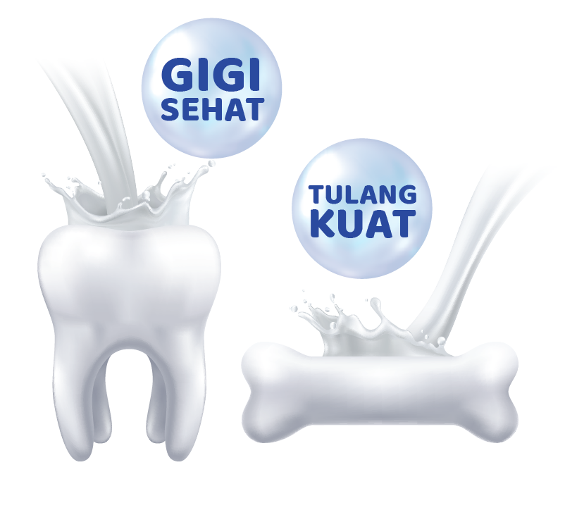 Calcium Chewable (30s)